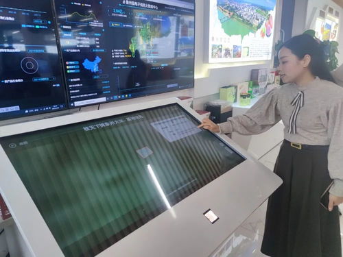 象州土味风靡网络 500家电商撬动上亿元销售额的技术密钥