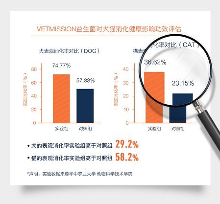 高端连锁携手兽医任务，宠物健康品牌成为院线新宠